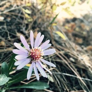 Meet your Posher, Jaelee